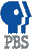 Public Broadcasting System